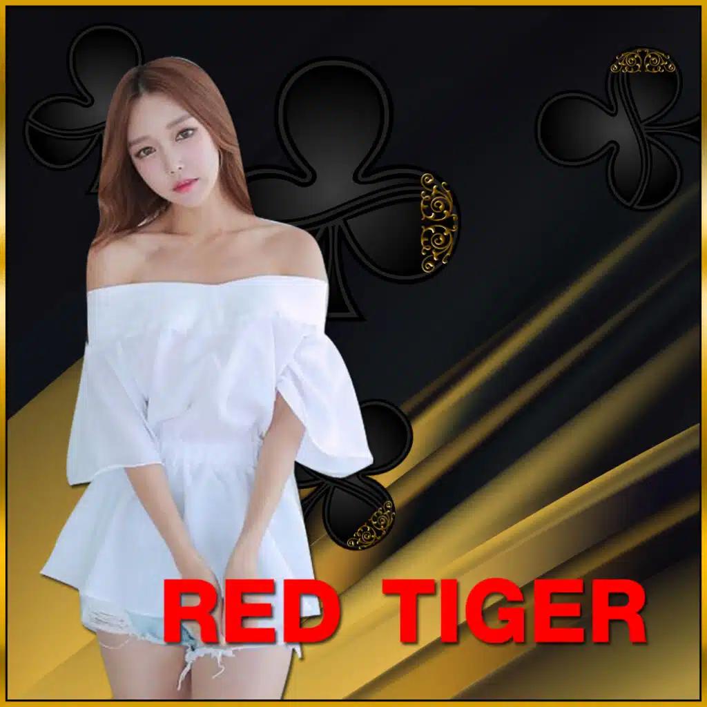 สล็อต 456 เว็บตรง มั่นคง โปรโมชั่นเด็ด จ่ายจริงทุกยอด