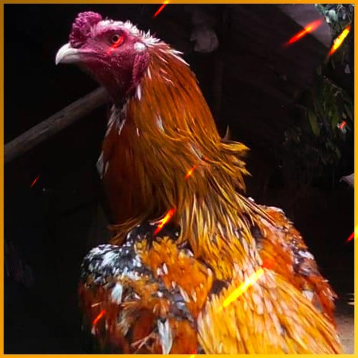 สล็อตbeo89 เว็บตรงใหม่ล่าสุด เล่นง่าย บนมือถือ 2024