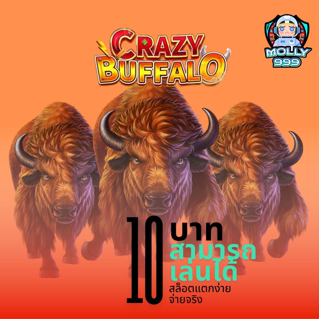 เล่นสล็อต 11hilo คาสิโนอันดับหนึ่งในไทย มาพร้อมโปรโมชั่นสุดพิเศษ